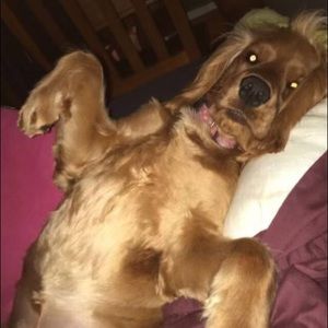 Meet your Posher, Elly